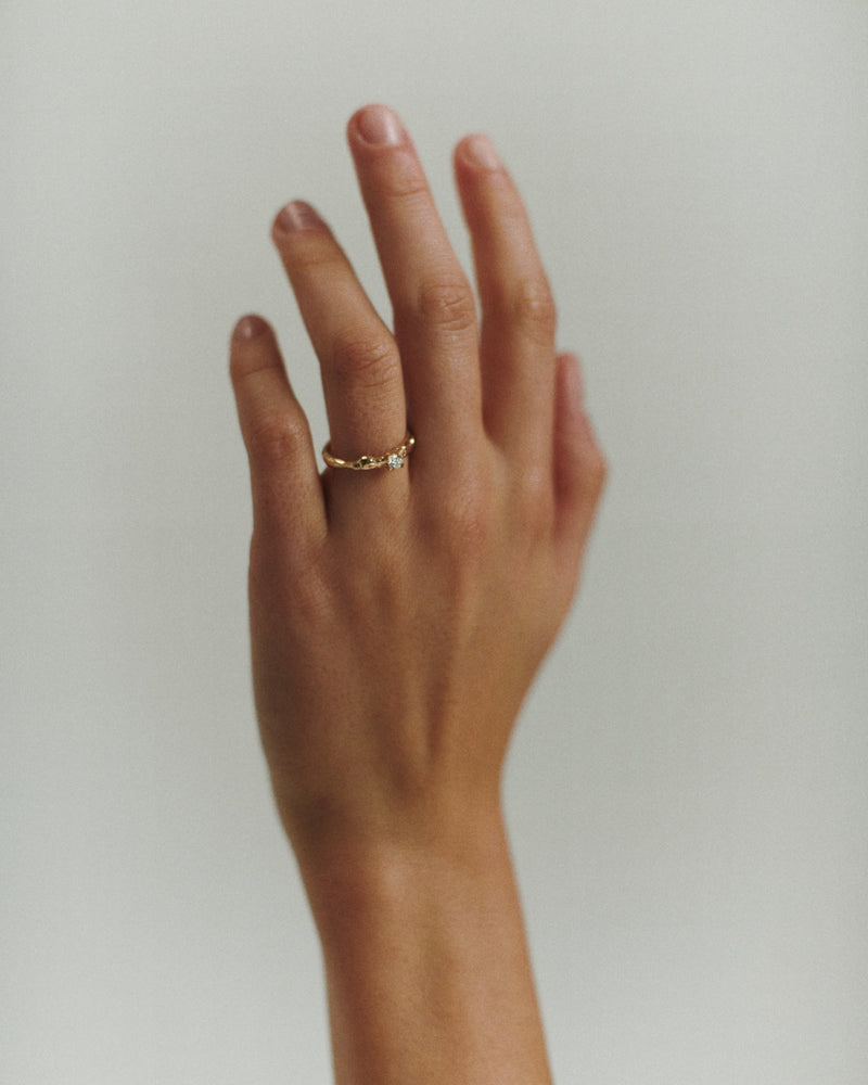Signe